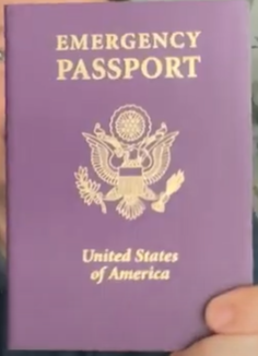 Purple passport with "Emergency Passport" written at the top.