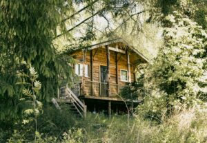 A wooden cabin surrounded by greenery.