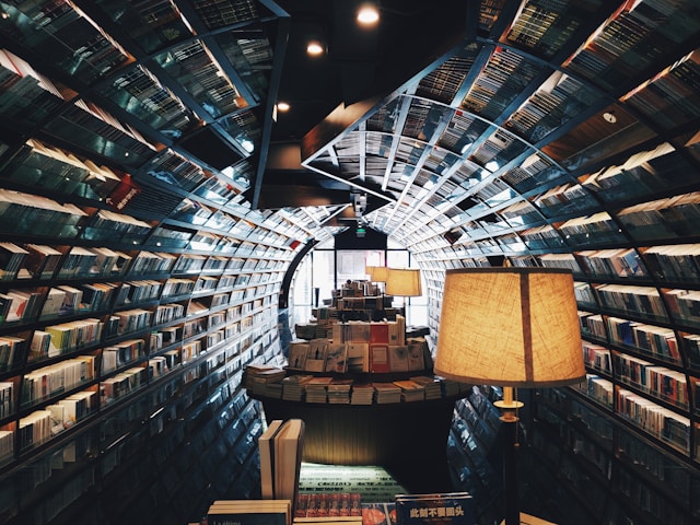 A cave of books. A library like atmosphere where the bookshelves curve overhead to create a 3-D cave effect. Leather chairs and lamps are in the middle of the area.