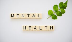 The words "mental health" spelled out on scrabble letters next to a green leaf.