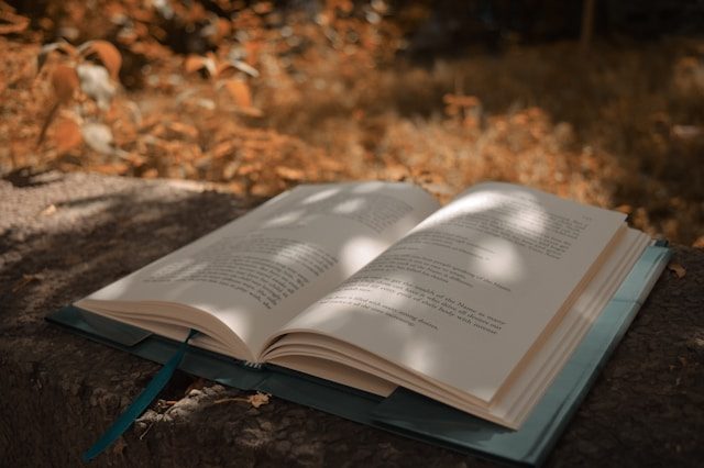 An open book laying in a tree's shadow.